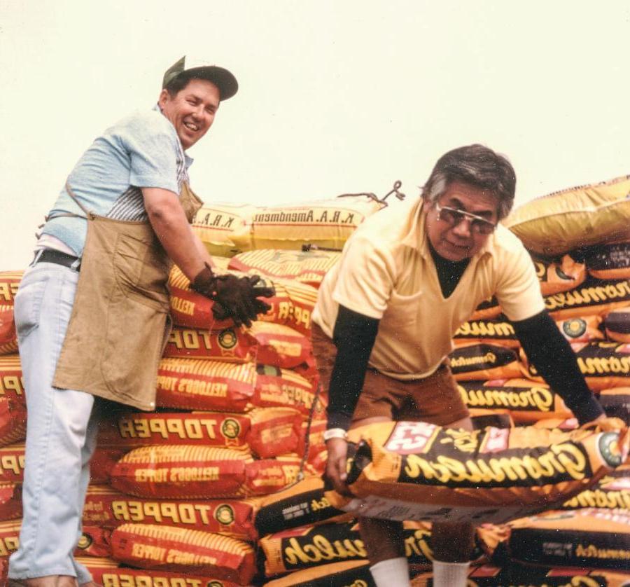 joe working at Katashi Nursery, circa 1970.